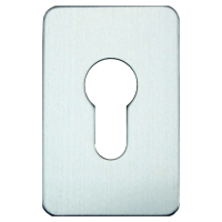 ASEC Self Adhesive 45mm x 70mm Euro Escutcheon Stainless Steel