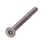 EVVA ZS Resistorx Cylinder Fixing Screw ZS 60