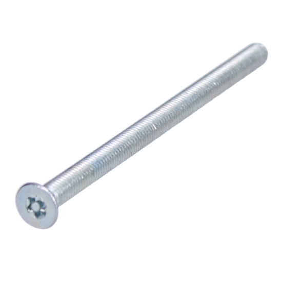 EVVA ZS Resistorx Cylinder Fixing Screw ZS 80 - Click Image to Close